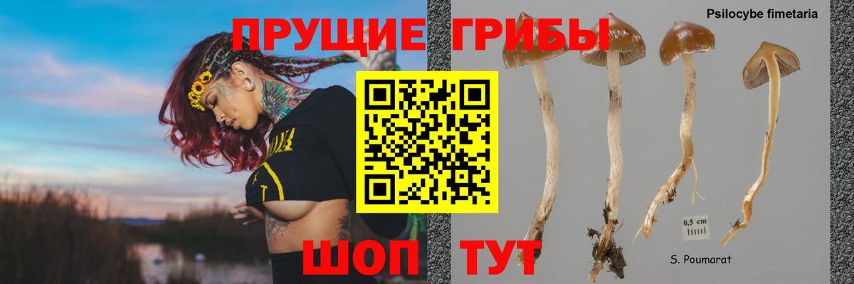 Псилоцибиновые грибы мухоморы Красногорск